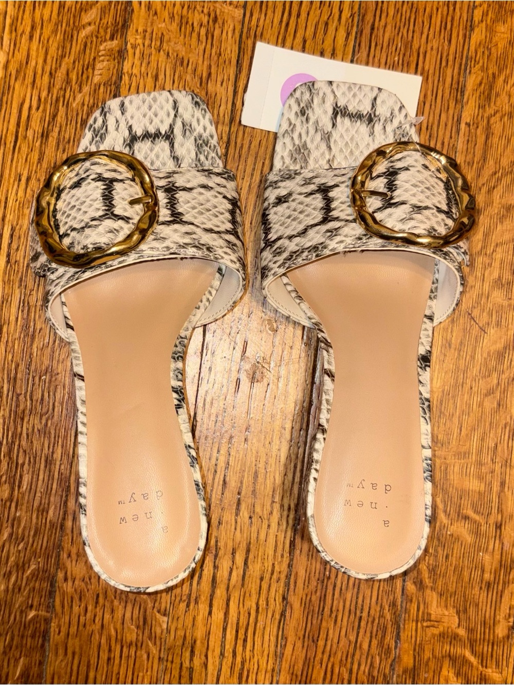 NWT Women’s size 6 1/2 Heels